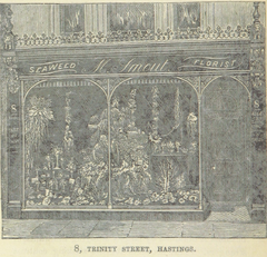 M Smout, 8 Trinity Street 1888